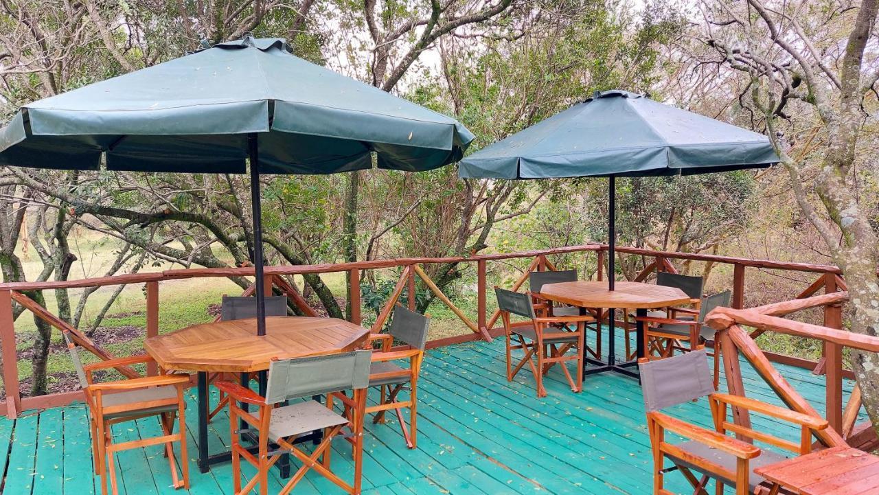 טאלק Greenwood Safari Camp מראה חיצוני תמונה