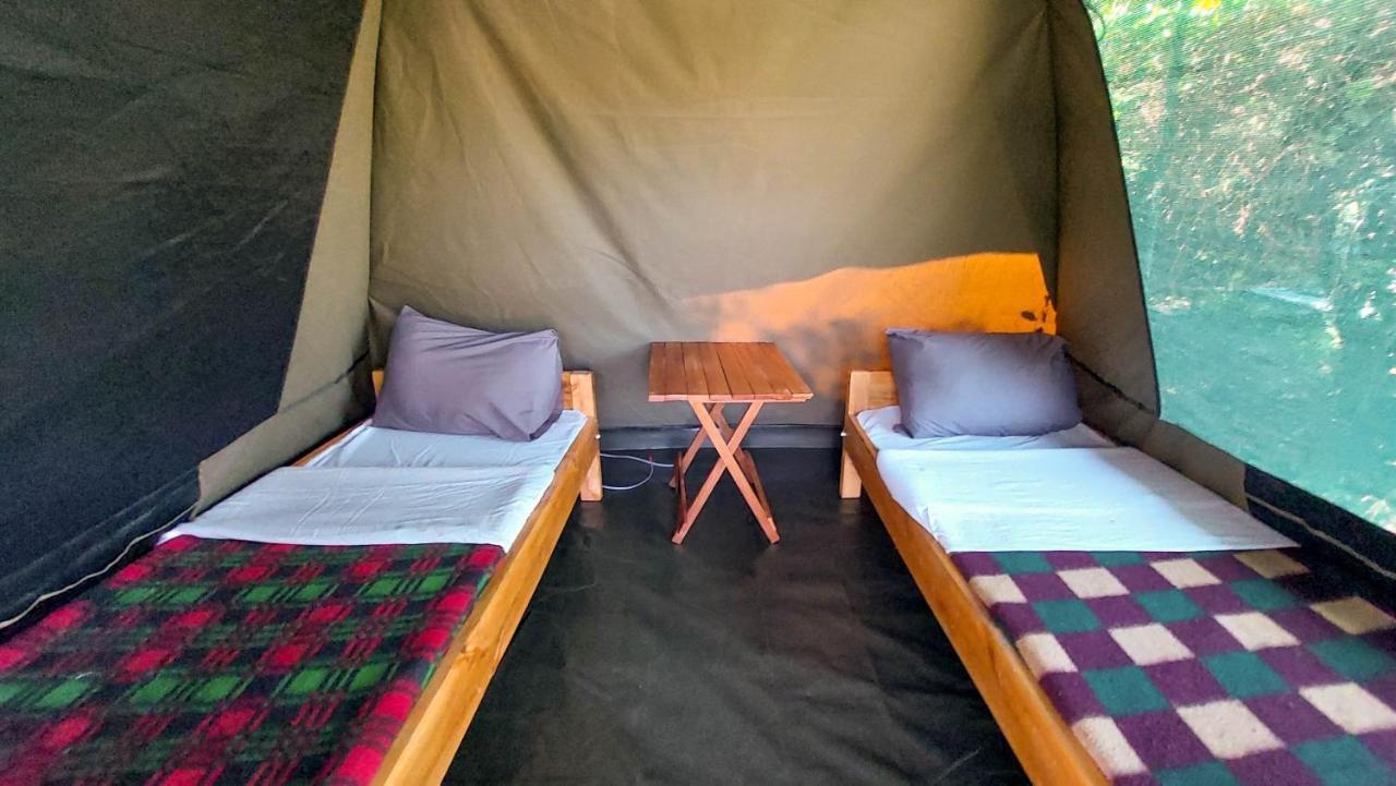 טאלק Greenwood Safari Camp מראה חיצוני תמונה