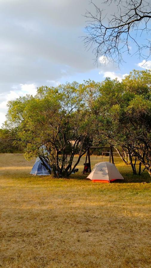 טאלק Greenwood Safari Camp מראה חיצוני תמונה