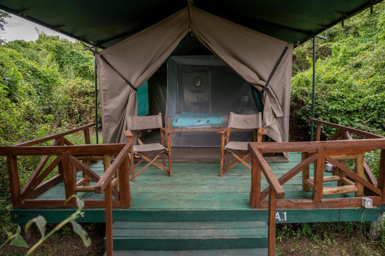 טאלק Greenwood Safari Camp מראה חיצוני תמונה