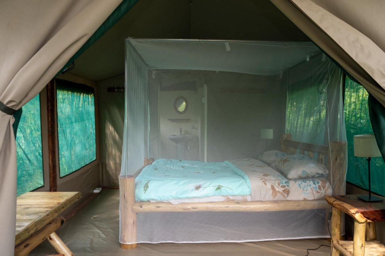טאלק Greenwood Safari Camp מראה חיצוני תמונה